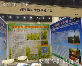 安陽市農業技術推廣站積極參與2014中部農資會，助力現代農業技術普及